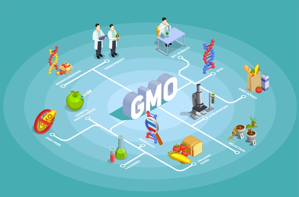 Genetically modified organisms isometric flowchart on turquoise background with dna, research, organic food, gmo goods vector illustration