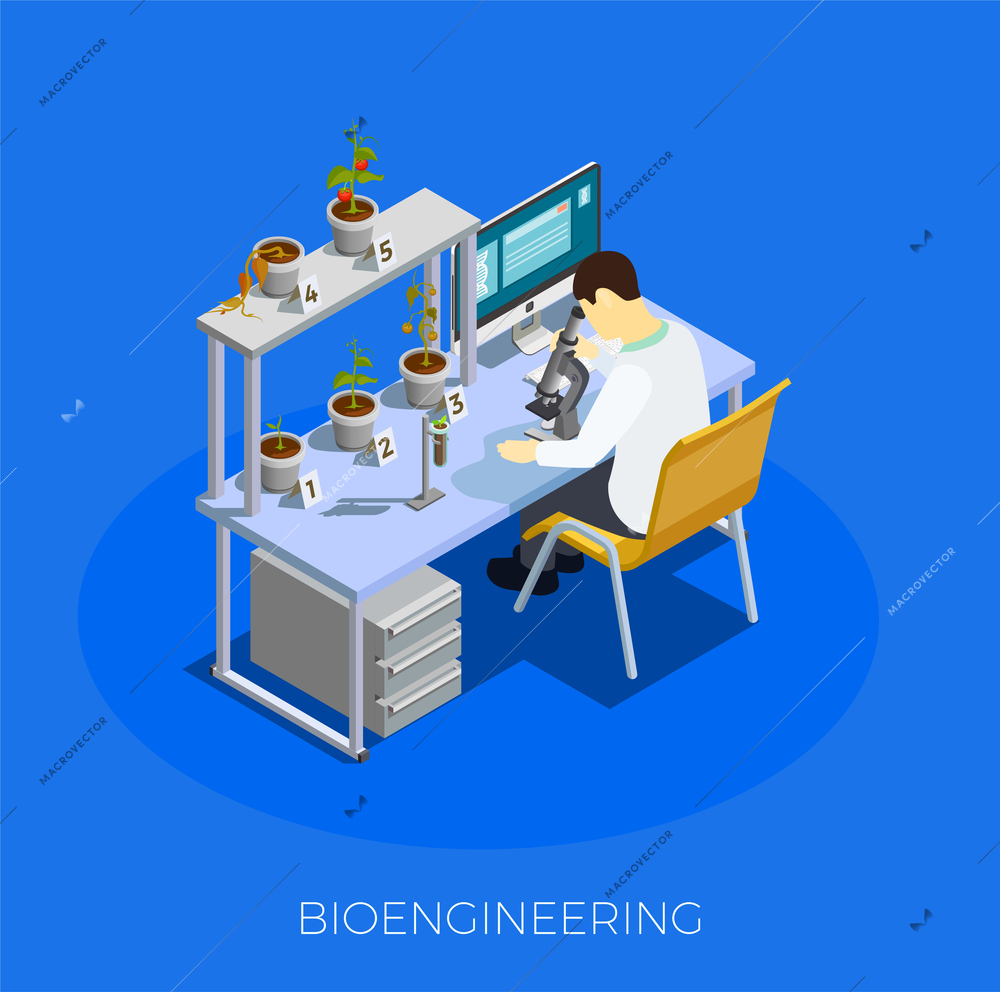 GMO bio engineering isometric composition on blue background with scientist during work with tomato samples vector illustration