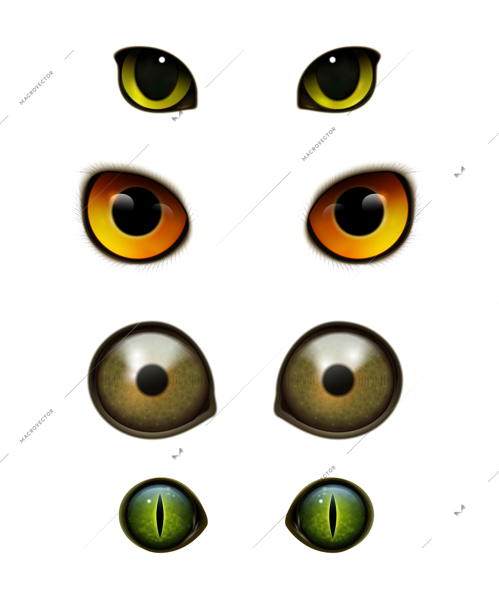 Monster bird animal owl cat realistic eyes set for handcraft projects embellishments applications decorations isolated vector illustration