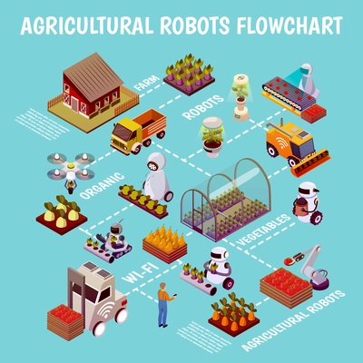 Agricultural robots isometric flowchart with schematics of modern farm with images of hothouse seedbeds and androids vector illustration