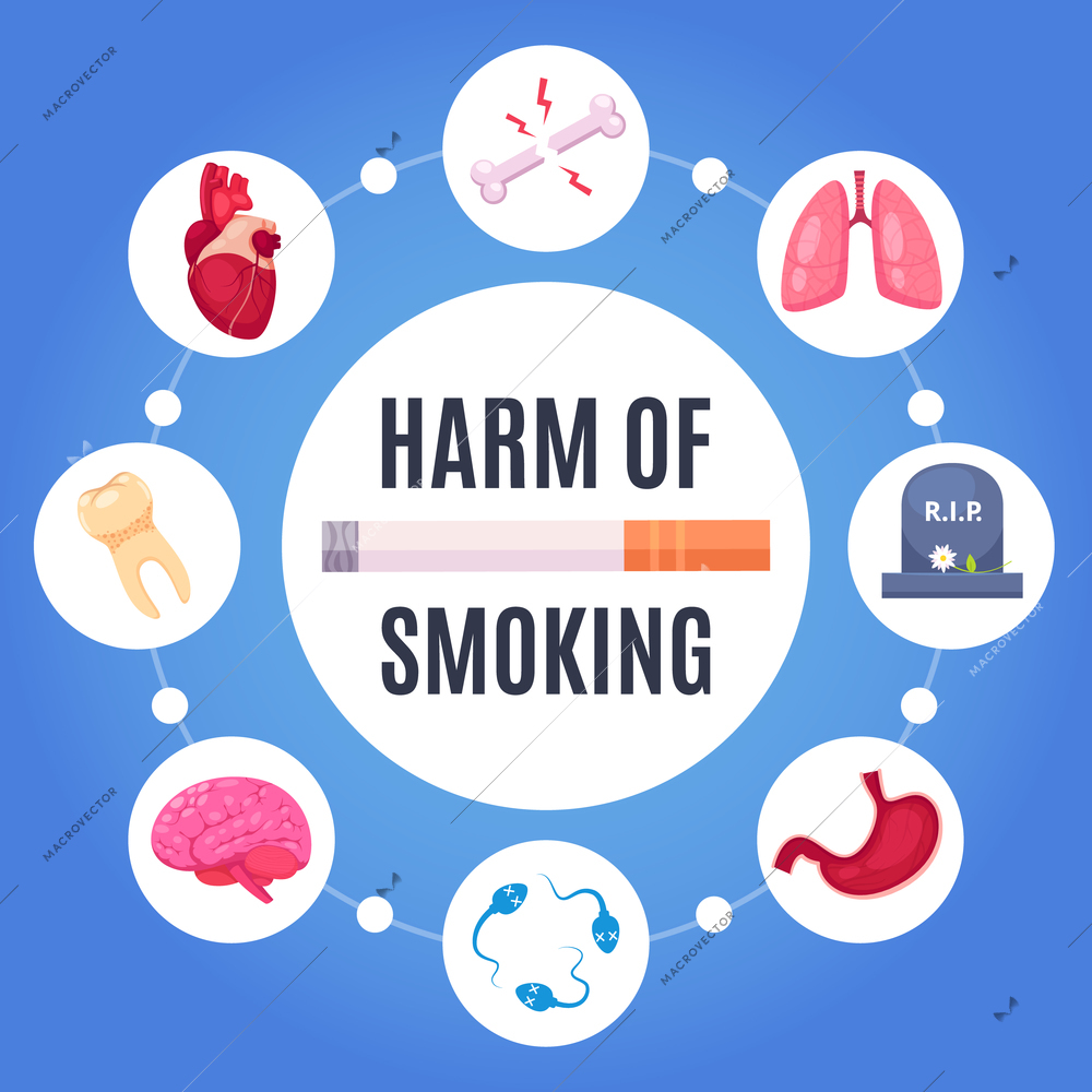 Harm of smoking round design concept with  human organs sensitive to disease from nicotine cartoon vector illustration