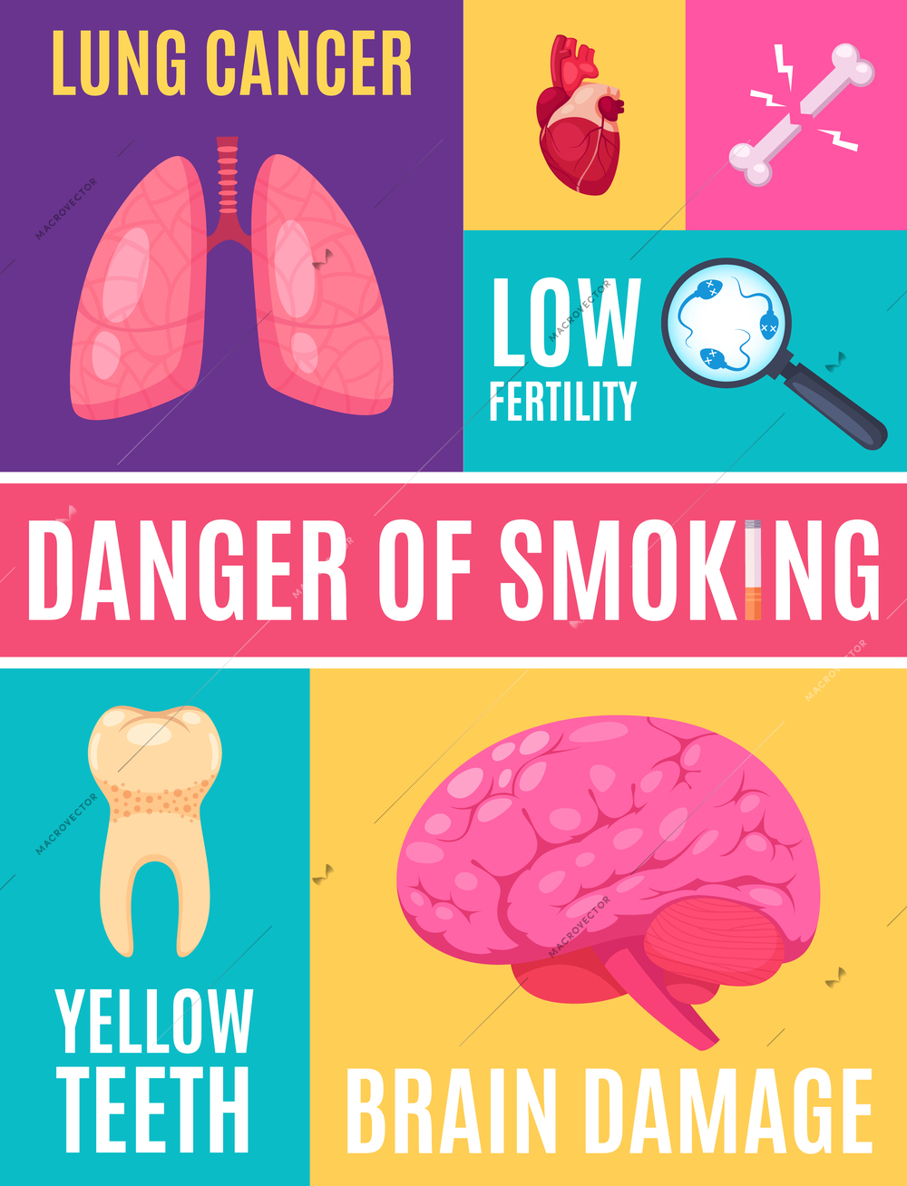 Smoking danger cartoon poster with information about complications so as low fertility lung cancer yellow teeth brain damage vector illustration