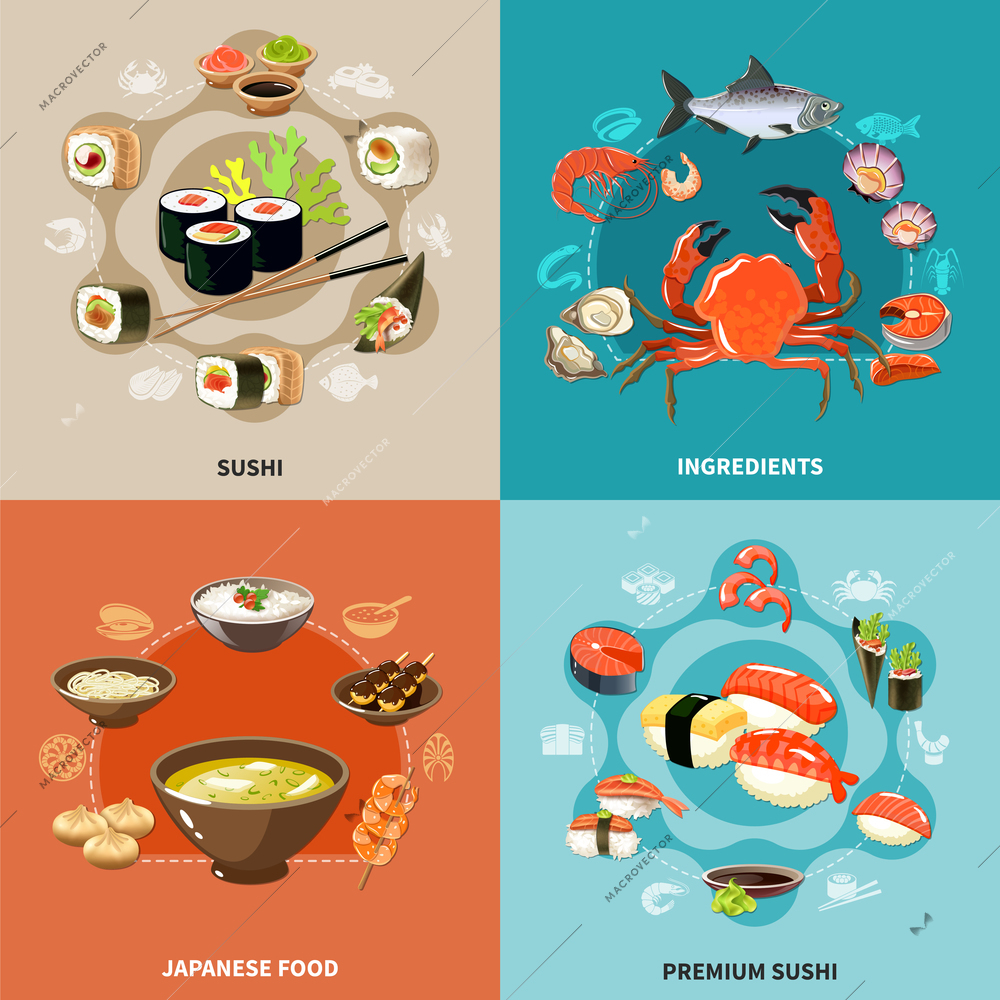 Four squares sushi concept set with ingredients Japanese food and premium sushi descriptions vector illustration