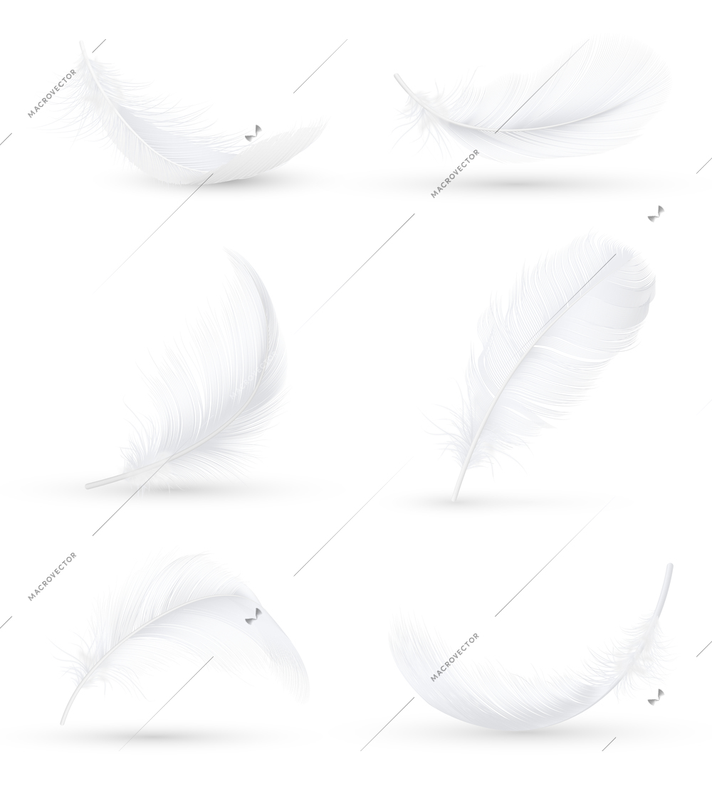 Realistic white bird feathers images set in 6 various positions and angles with shadow isolated vector illustration