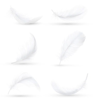 Realistic white bird feathers images set in 6 various positions and angles with shadow isolated vector illustration