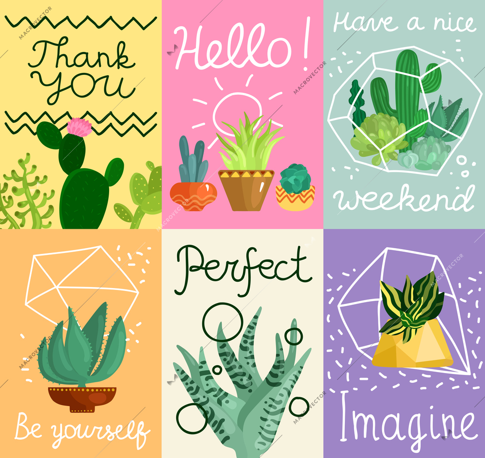 Succulent cards set with greetings symbols flat isolated vector illustration