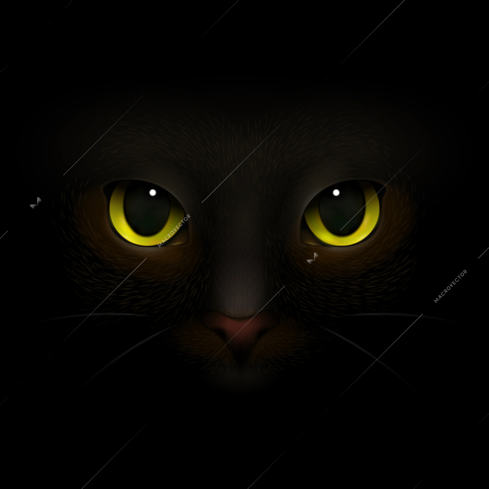 Animals monsters realistic composition with feline eyes and nose scary cats snout looking out of darkness vector illustration