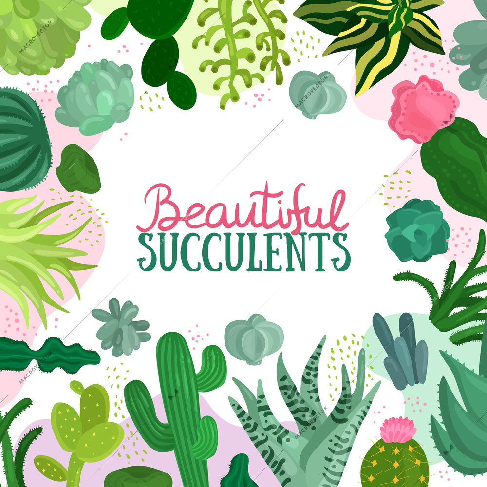 Succulents decorative frame with different types of cactuses flat vector illustration