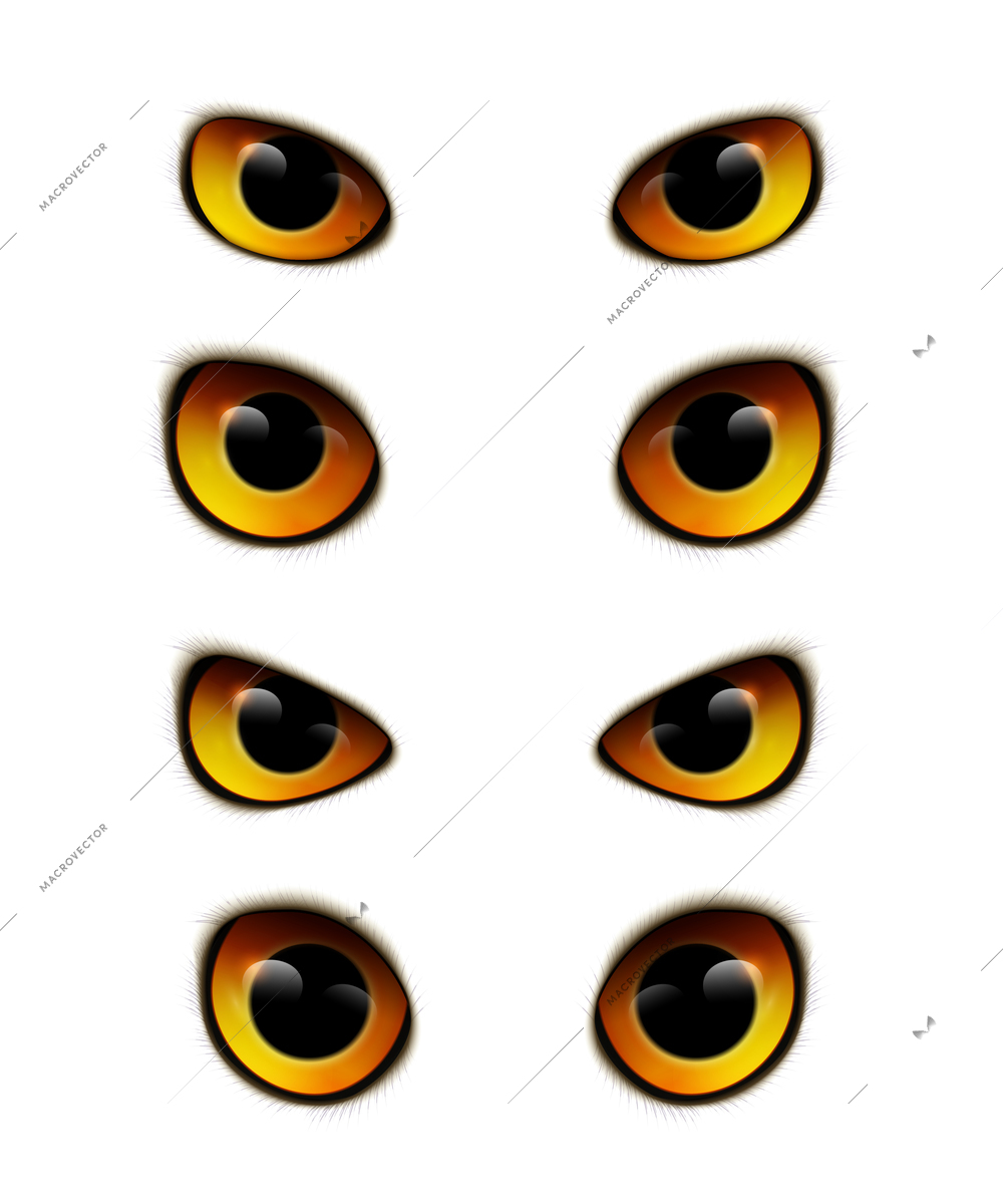 Owl emotions eyes realistic collection with isolated bird eyes of different shape on blank background vector illustration