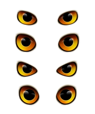 Owl emotions eyes realistic collection with isolated bird eyes of different shape on blank background vector illustration