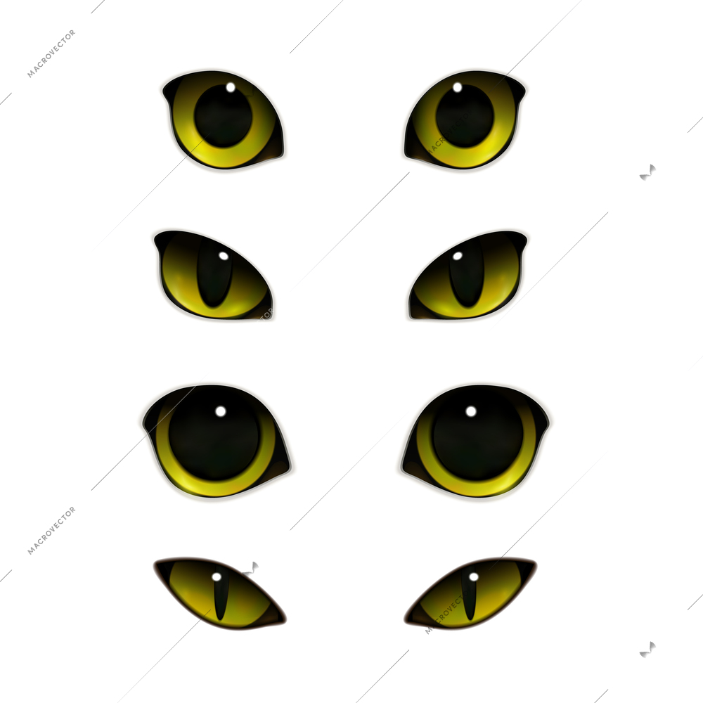 Cat emotions eyes realistic set of isolated images with open and half-closed feline eyes vector illustration