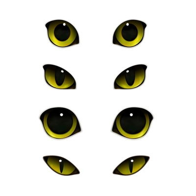 Cat emotions eyes realistic set of isolated images with open and half-closed feline eyes vector illustration