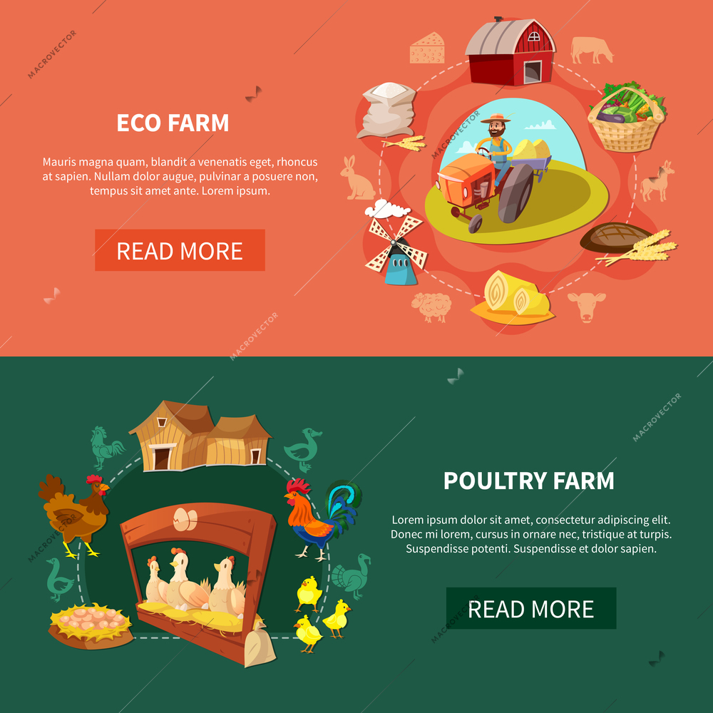 Two horizontal farm cartoon banner set with eco and poultry farm headlines vector illustration