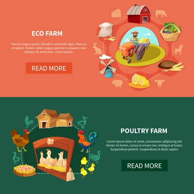 Two horizontal farm cartoon banner set with eco and poultry farm headlines vector illustration