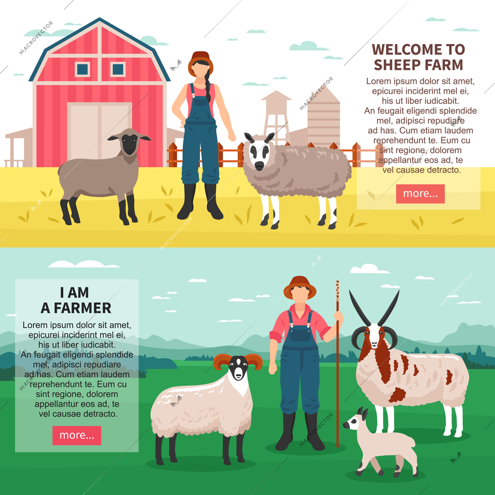 Sheep breeding farm 2 flat horizontal banners webpage with ram ewes farmers introduction text isolated vector illustration