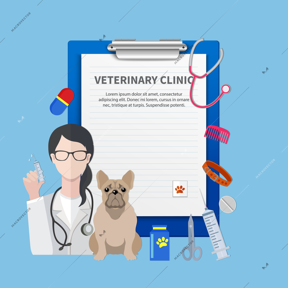 Veterinary clinic name title template flat composition  with pet physician prescription blank and dog patient vector illustration