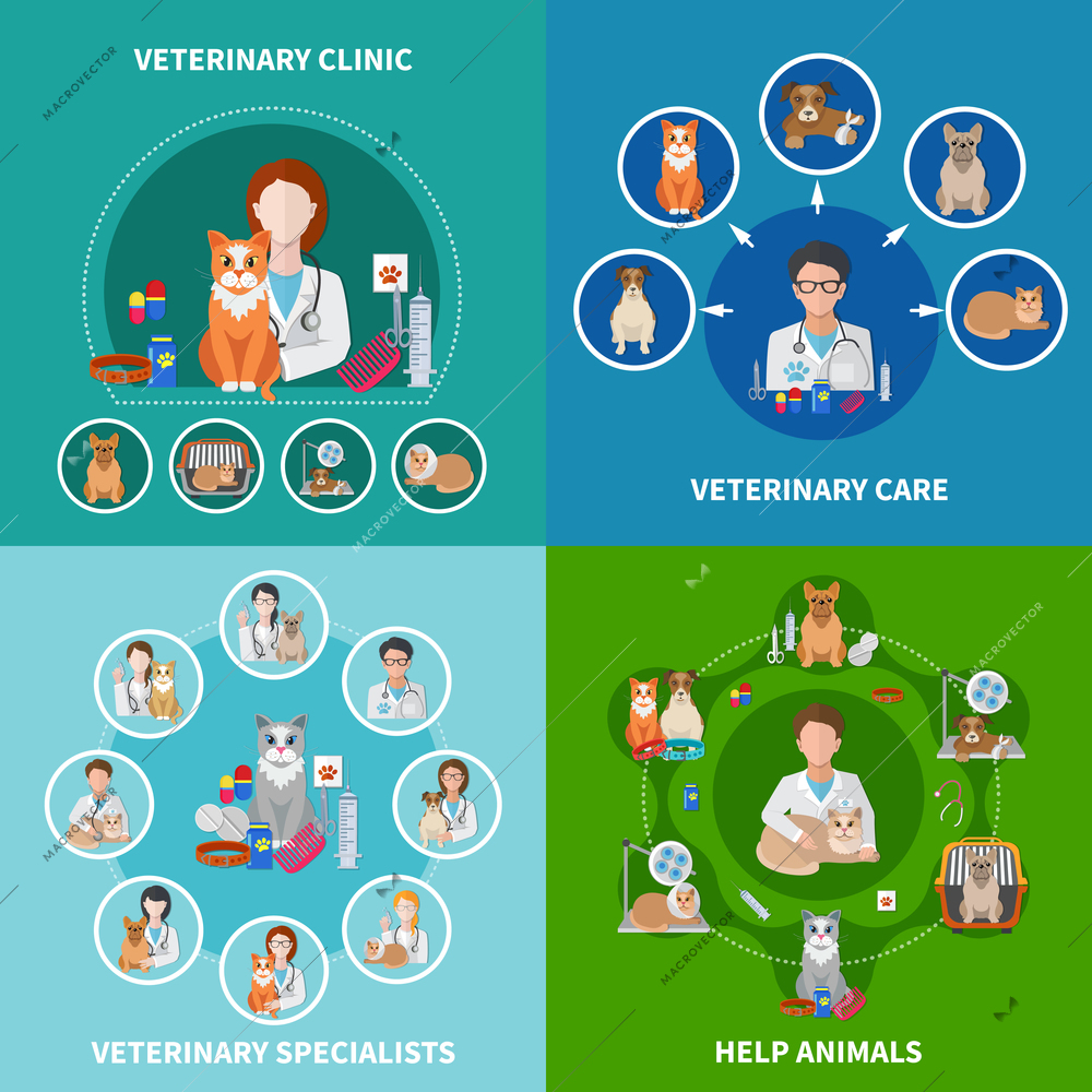 Veterinary clinic animal care treatments procedures medication specialists advise 4 flat icons square concept isolated vector illustration