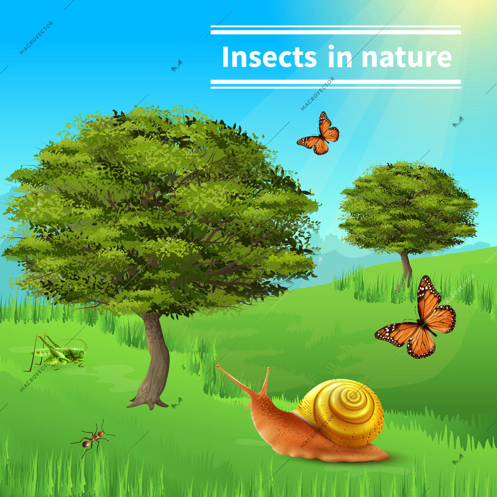 Insects in nature title realistic composition poster with grasshopper ants butterflies snail grass and trees vector illustration