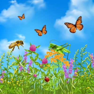 Insects in summer grass field realistic colorful composition with butterflies bumblebee grasshopper and ladybird vector illustration