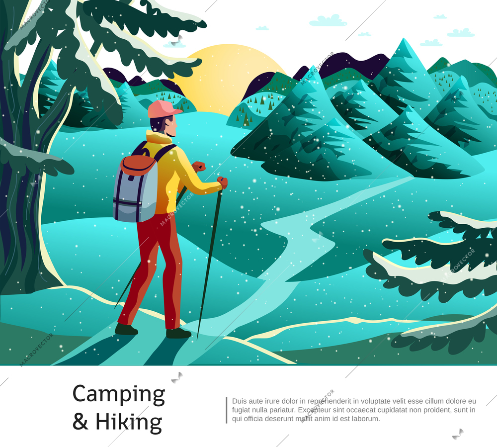 Camping hiking background poster with tourist holding nordic walking sticks on green meadow with conifers vector illustration