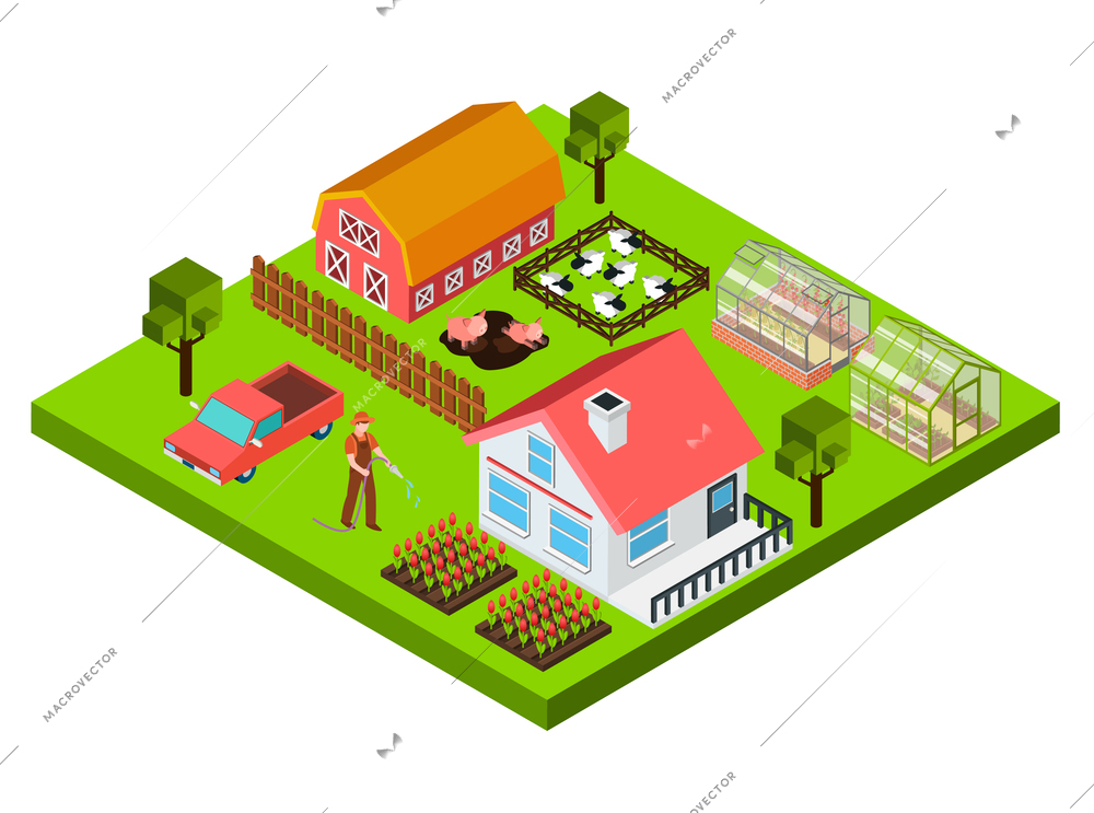 Colorful isometric concept with farmer barn cottage cattle and greenhouse 3d vector illustration