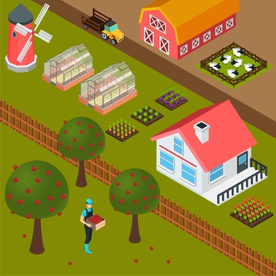 Isometric farm house mill sheepfold and farmer gathering apples colorful background 3d vector illustration