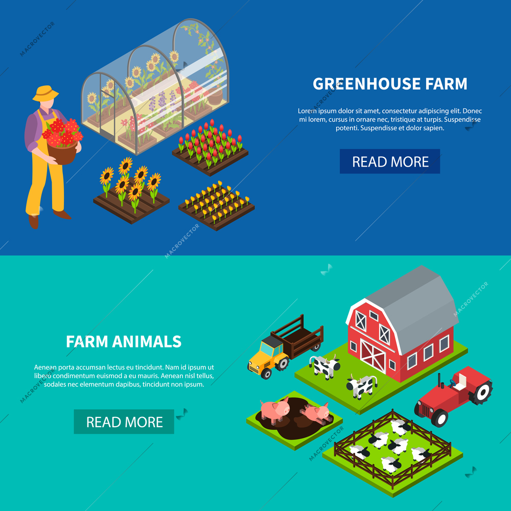 Isomeric set of two horizontal banners with greenhouse and various domestic animals grazing on farm 3d isolated vector illustration