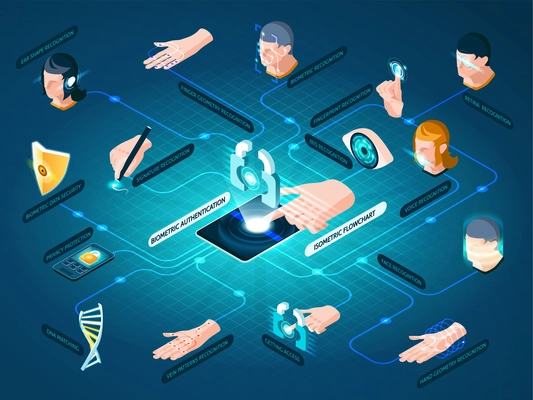 Biometric authentication methods isometric flowchart with dna matching face recognition hand geometry identification and data protection vector illustration