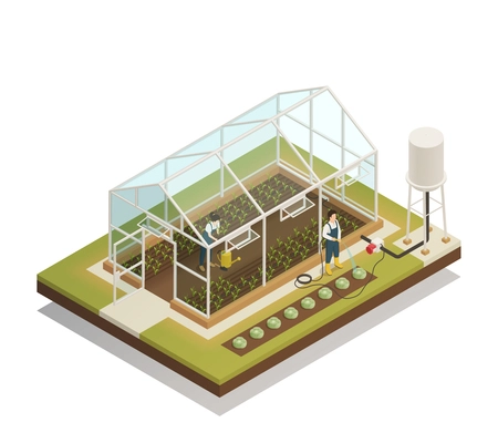 Greenhouse cable-supported irrigation facilities isometric composition with gardeners watering plants with hose and waterpot vector illustration