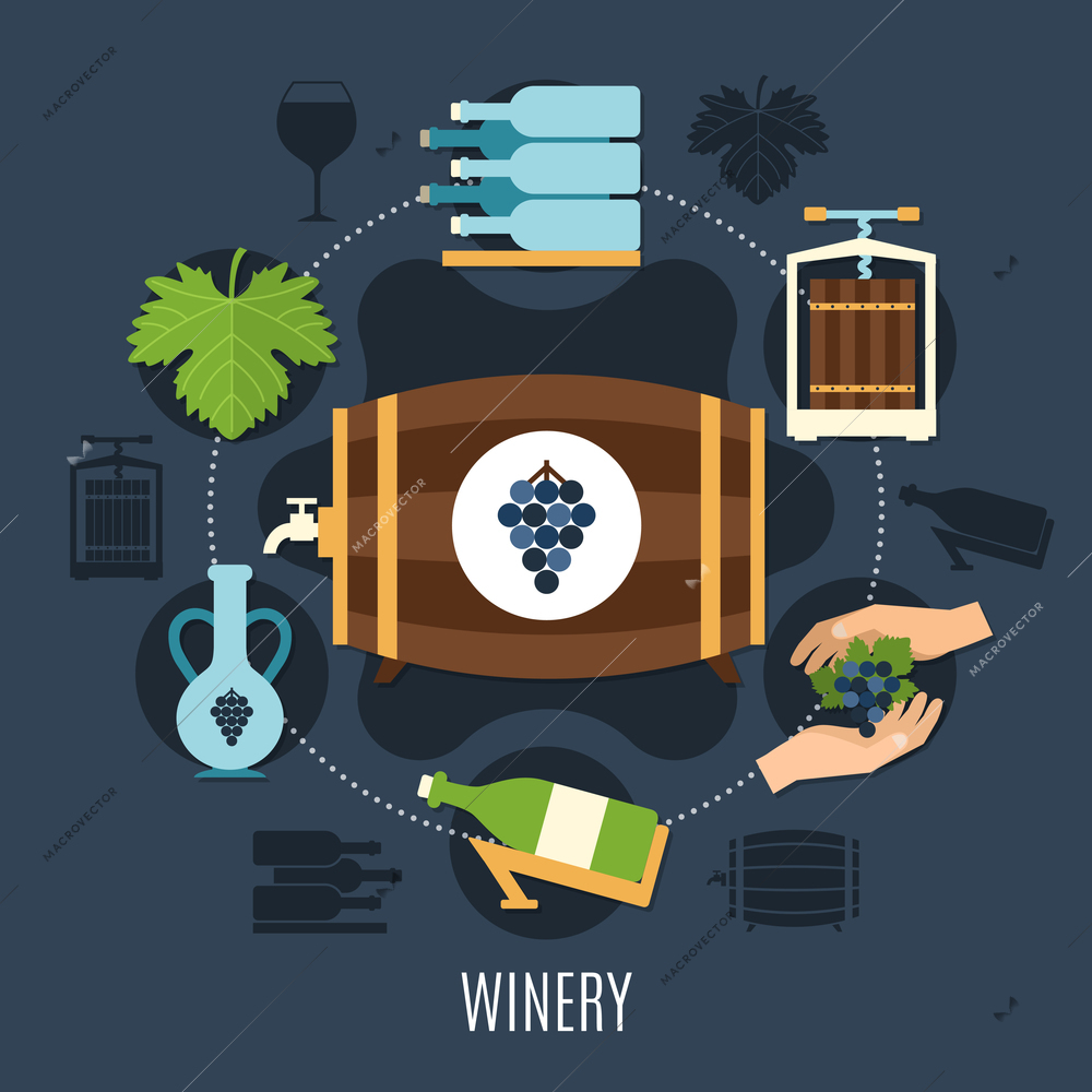 Winery flat concept with wine bottles and casks on dark background vector illustration