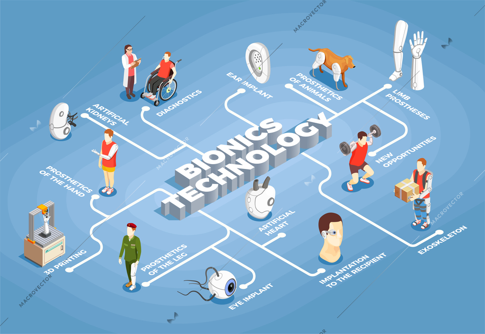 Bionics technology flowchart artificial organs 3d printer eye and ear implants exoskeleton icons isometric vector illustration