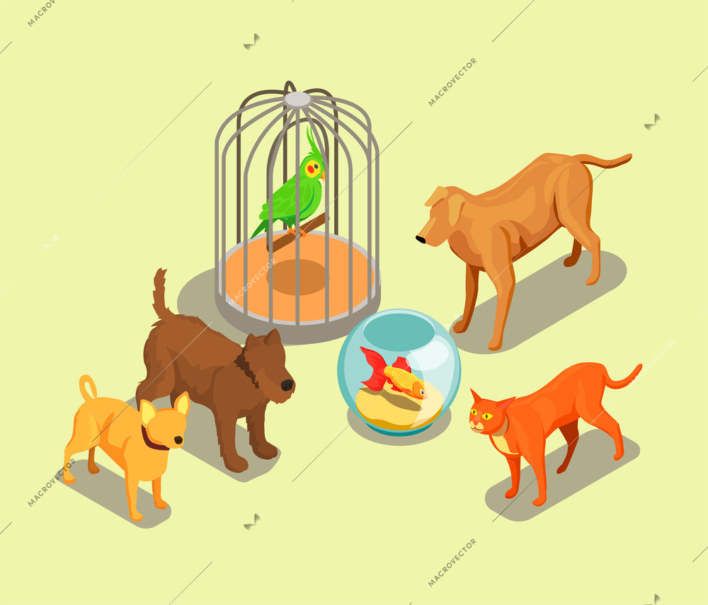 Pet shop isometric background with parrot in cage goldfish in aquarium cat and dogs of different breeds vector illustration