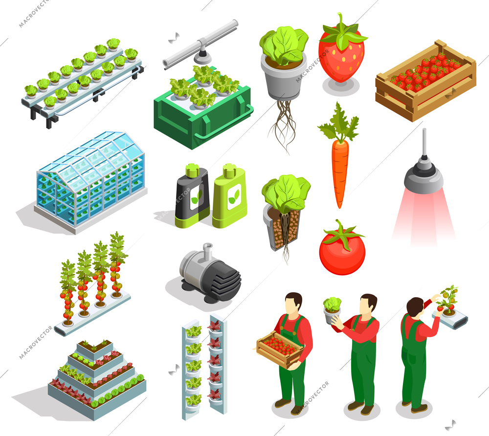 Hydroponic and aeroponic isometric icons set of fresh fruits and vegetables harvest orangery fertilizer symbols isolated vector illustration