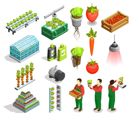 Hydroponic and aeroponic isometric icons set of fresh fruits and vegetables harvest orangery fertilizer symbols isolated vector illustration