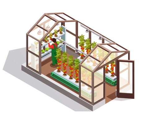 Isometric greenhouse for growing vegetables and fruits with glass walls shelves and artificial lighting isolated vector illustration