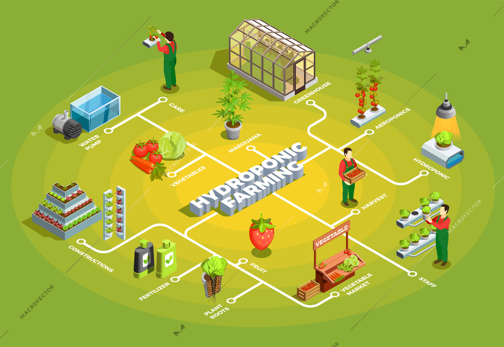 Hydroponic farming isometric flowchart with staff and elements of orangery constructions water pump fertilizers vegetable market vector illustration