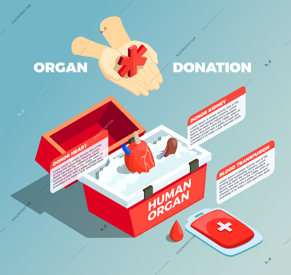 Organ donation isometric composition with donor kidney and donor heart in medical container and blood bad used for transfusion vector illustration