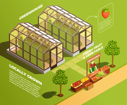 Isometric farm background with two glass greenhouses for locally growing organic vegetables and fruits vector illustration