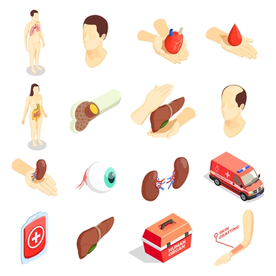 Transplantation decorative icons set with human  organs emergency car case for transportation donor organs isometric vector illustration