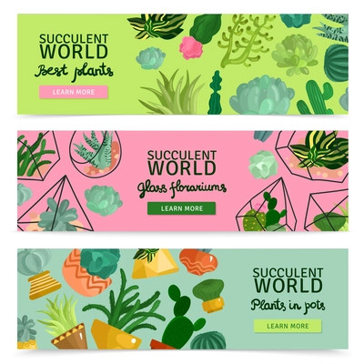 Succulents horizontal banners set with succulent world symbols flat isolated vector illustration