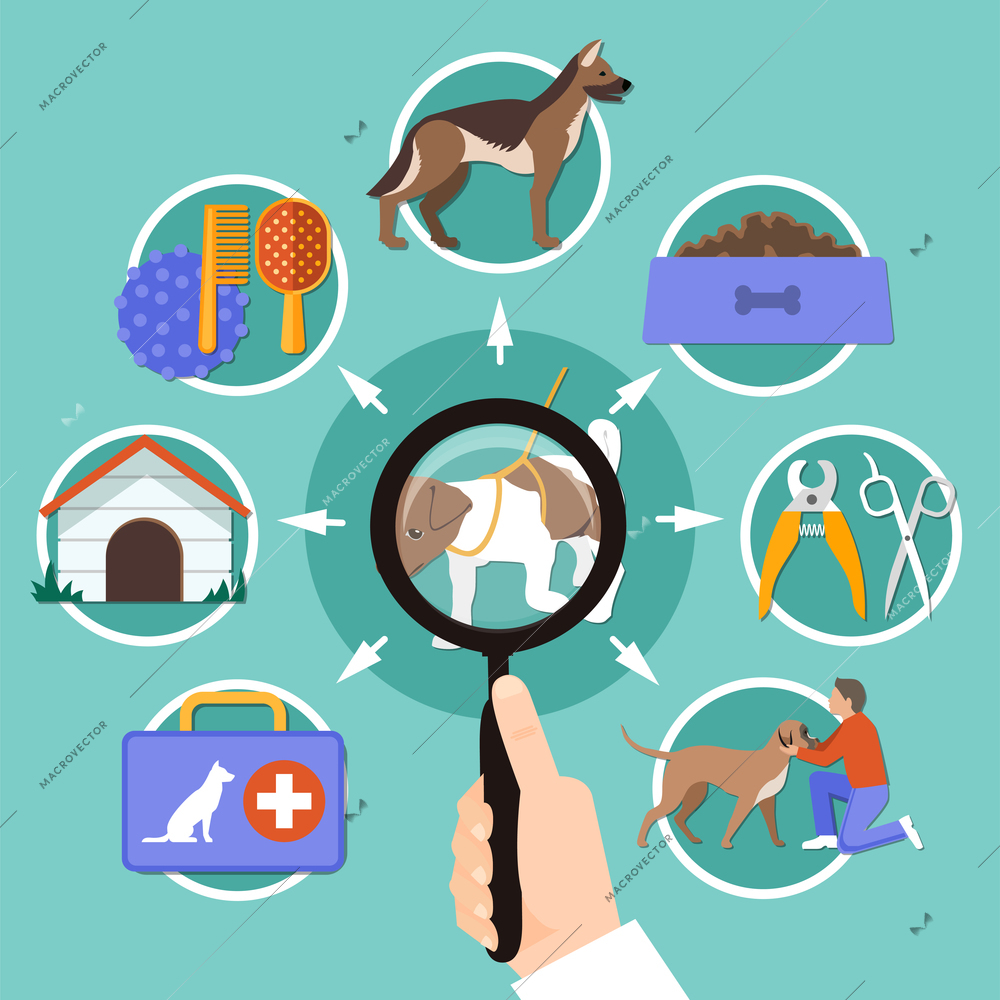 Dogs conceptual composition of pet food grooming accessories and veterinary assistance with magnifying lens in human hand vector illustration