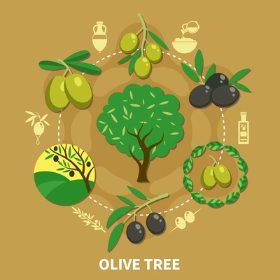 Olive tree, branches with green and black fruits round composition on sand background flat vector illustration