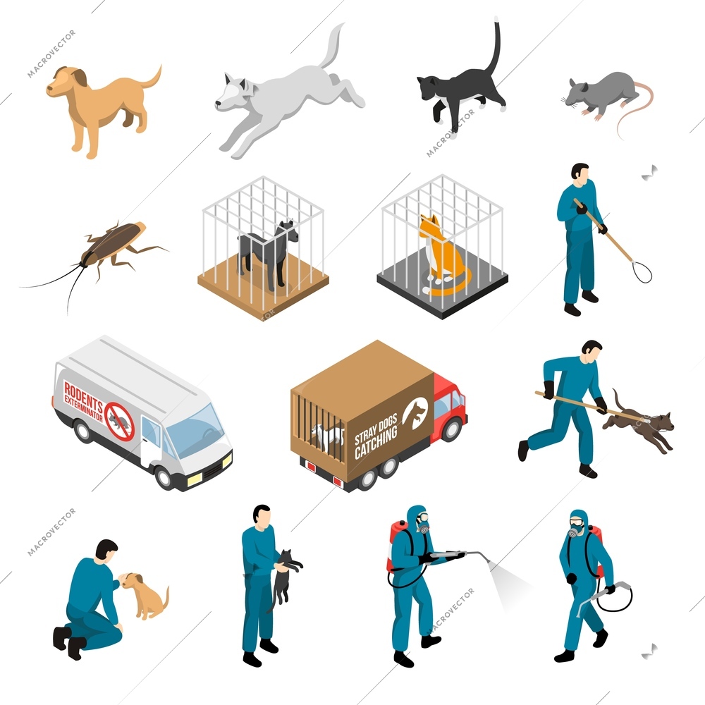 Animal control service, catching of stray dogs and cats, fighting with pests isometric set isolated vector illustration