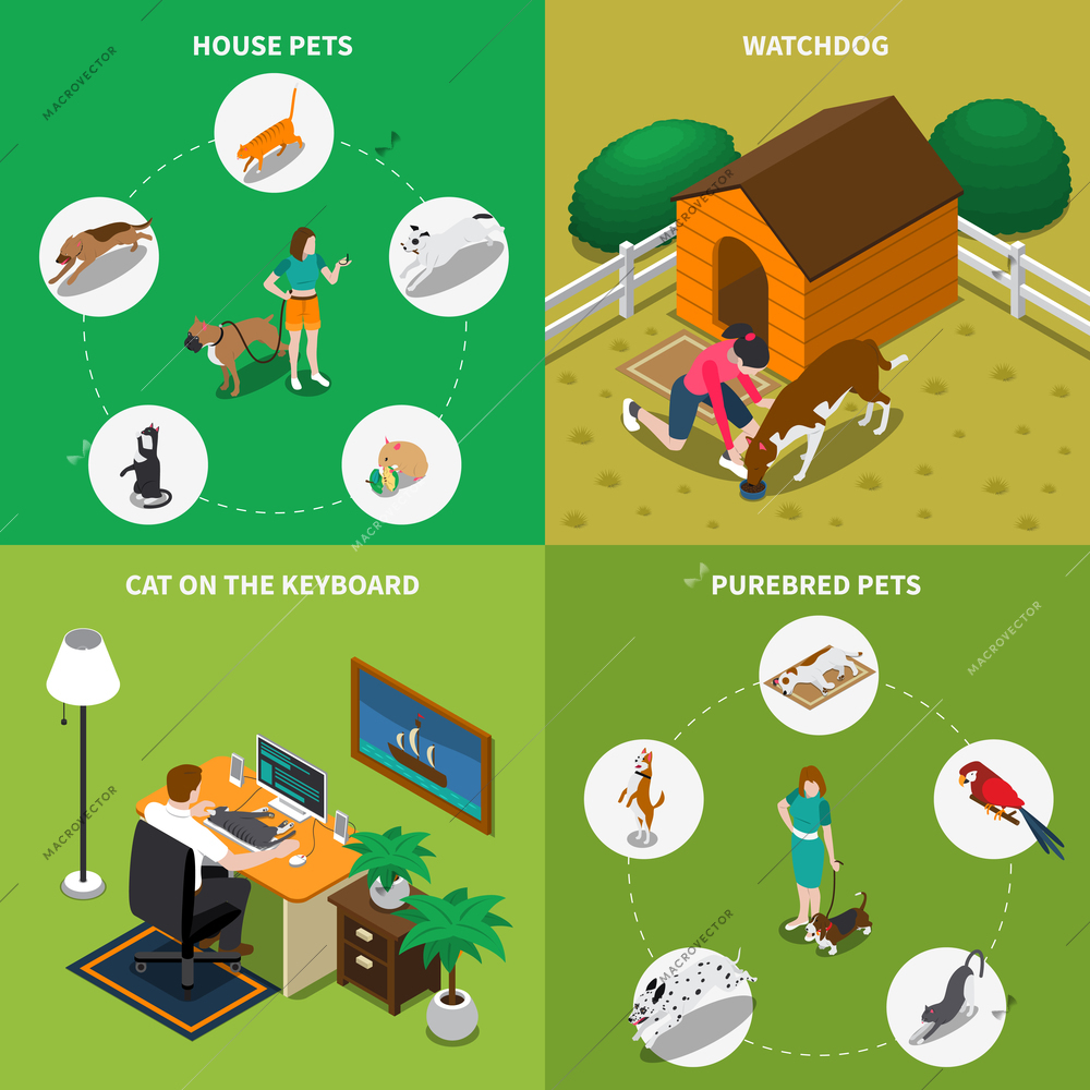 Isometric 2x2 icons set with people and their animals isolated on colorful backgrounds 3d vector illustration