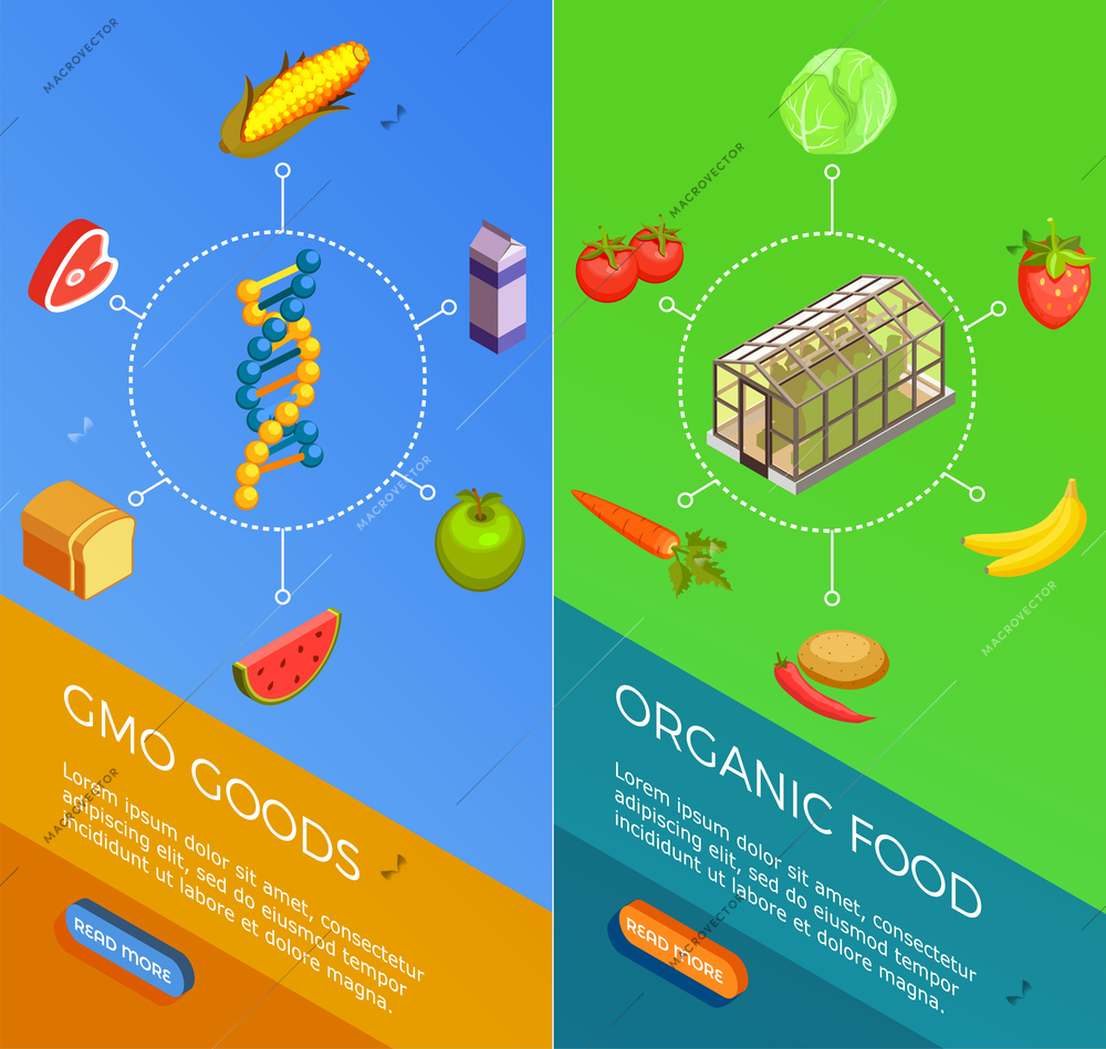 Genetically modified organisms set of vertical isometric banners with gmo goods and organic food isolated vector illustration