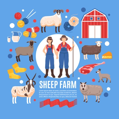 Sheep breeding lambing raising for wool meat dairy products traditional organic farm flat background poster vector illustration