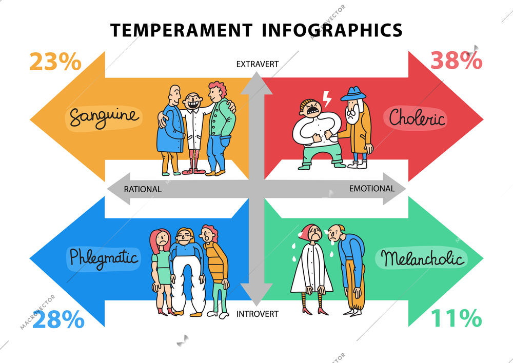 Temperament types hand drawn infographics with data about persons with different life attitudes and behavior vector illustration