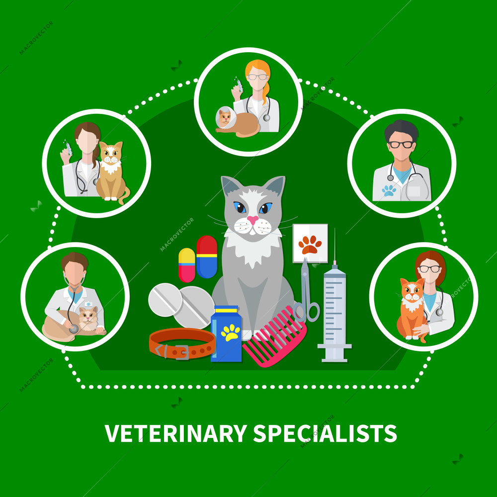 Veterinarian specialist treatments flat icons composition with cat medication accessories pets care products paw print vector illustration