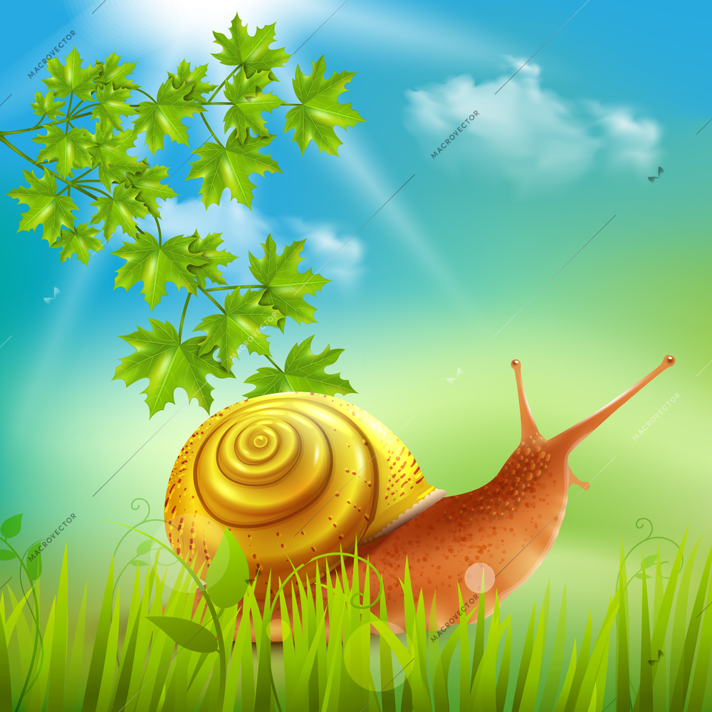 Snail in grass field sun bathing realistic composition with maple branch outdoor nature summer vector illustration