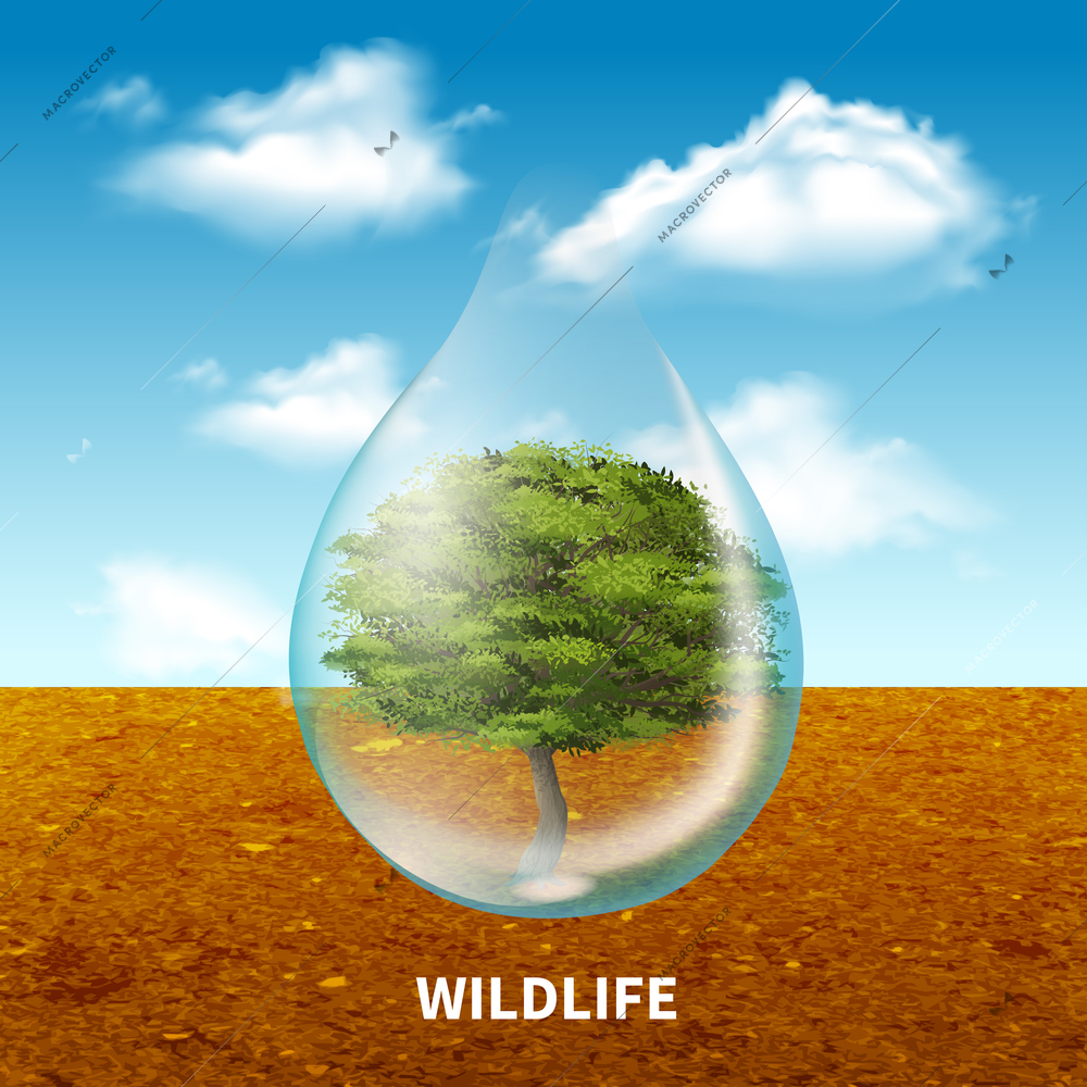 Wildlife advertising poster with green tree  inside giant water drop on rustic landscape  background realistic vector illustration